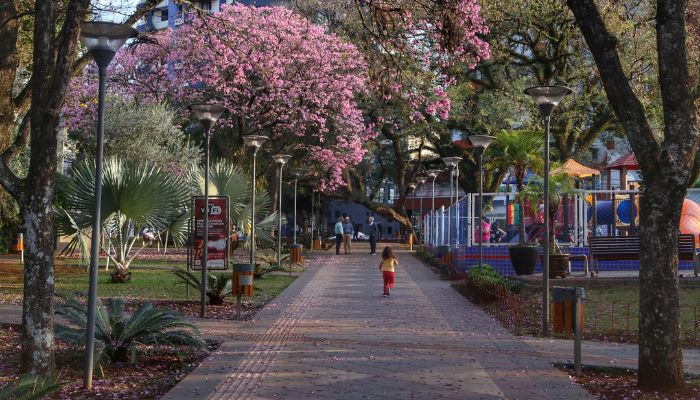  Primavera: Secretaria da Saúde orienta sobre alergias ocasionadas pela nova estação